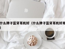 什么牌子蓝牙耳机好（什么牌子蓝牙耳机好用）