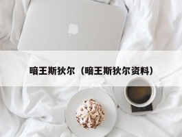 暗王斯狄尔（暗王斯狄尔资料）