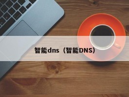 智能dns（智能DNS）