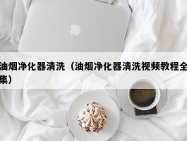 油烟净化器清洗（油烟净化器清洗视频教程全集）