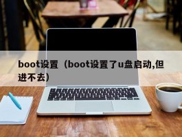 boot设置（boot设置了u盘启动,但进不去）