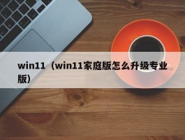 win11（win11家庭版怎么升级专业版）