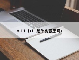 s-11（s11是什么意思啊）