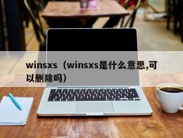 winsxs（winsxs是什么意思,可以删除吗）