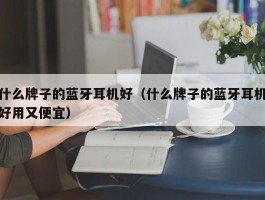 什么牌子的蓝牙耳机好（什么牌子的蓝牙耳机好用又便宜）