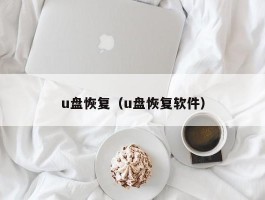 u盘恢复（u盘恢复软件）