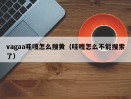 vagaa哇嘎怎么搜黄（哇嘎怎么不能搜索了）