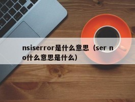 nsiserror是什么意思（ser no什么意思是什么）