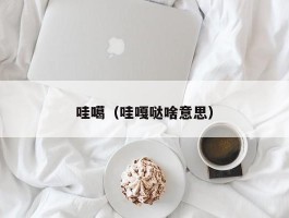 哇噶（哇嘎哒啥意思）