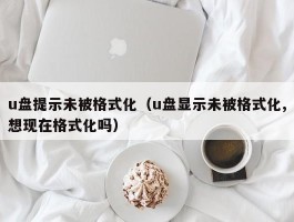 u盘提示未被格式化（u盘显示未被格式化,想现在格式化吗）