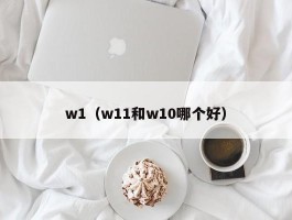 w1（w11和w10哪个好）