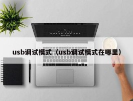 usb调试模式（usb调试模式在哪里）