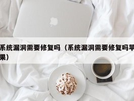 系统漏洞需要修复吗（系统漏洞需要修复吗苹果）