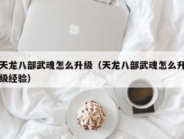 天龙八部武魂怎么升级（天龙八部武魂怎么升级经验）