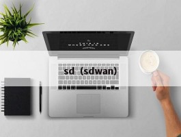 sd（sdwan）