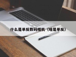 什么是单反数码相机（啥是单反）