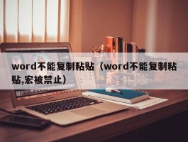 word不能复制粘贴（word不能复制粘贴,宏被禁止）