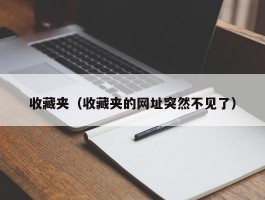 收藏夹（收藏夹的网址突然不见了）