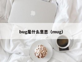 bug是什么意思（mug）