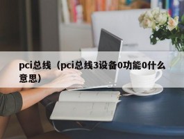 pci总线（pci总线3设备0功能0什么意思）