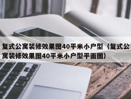 复式公寓装修效果图40平米小户型（复式公寓装修效果图40平米小户型平面图）