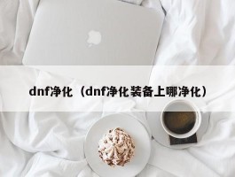 dnf净化（dnf净化装备上哪净化）