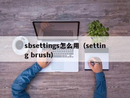 sbsettings怎么用（setting brush）