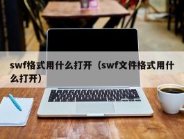 swf格式用什么打开（swf文件格式用什么打开）