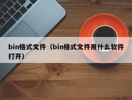 bin格式文件（bin格式文件用什么软件打开）