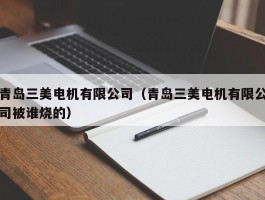 青岛三美电机有限公司（青岛三美电机有限公司被谁烧的）