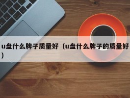 u盘什么牌子质量好（u盘什么牌子的质量好）