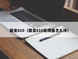 骁龙810（骁龙810处理器怎么样）