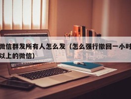 微信群发所有人怎么发（怎么强行撤回一小时以上的微信）