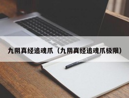 九阴真经追魂爪（九阴真经追魂爪极限）