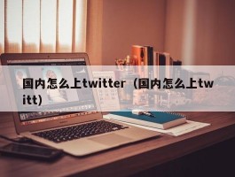 国内怎么上twitter（国内怎么上twitt）