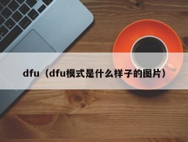 dfu（dfu模式是什么样子的图片）