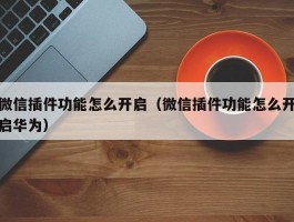 微信插件功能怎么开启（微信插件功能怎么开启华为）