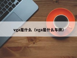 vga是什么（vga是什么车牌）