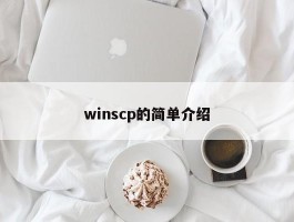 winscp的简单介绍